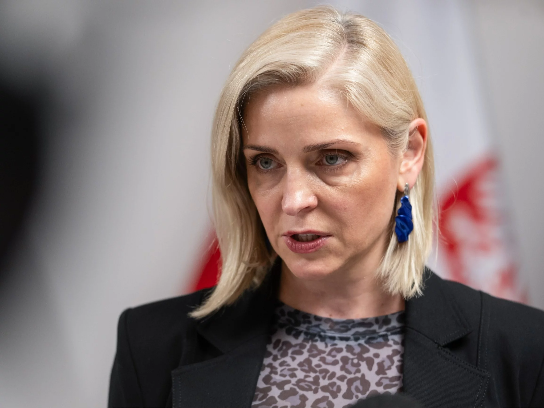 Sekretarz stanu w Ministerstwie Edukacji RP Joanna Mucha